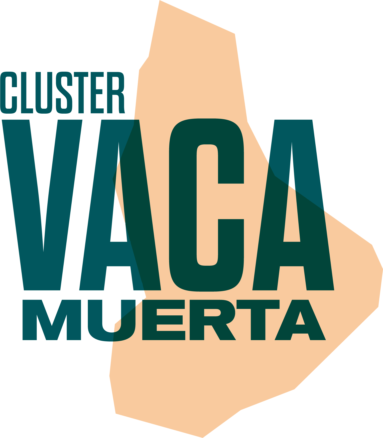 Cluster Vaca Muerta